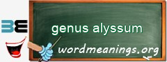 WordMeaning blackboard for genus alyssum